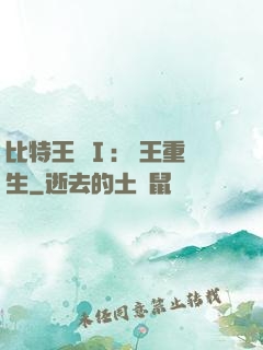 比特王國Ⅰ: 國王重生